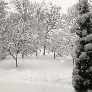 Meet your Posher, Robin